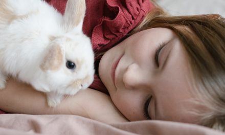 Comment les lapins dorment-ils ?
